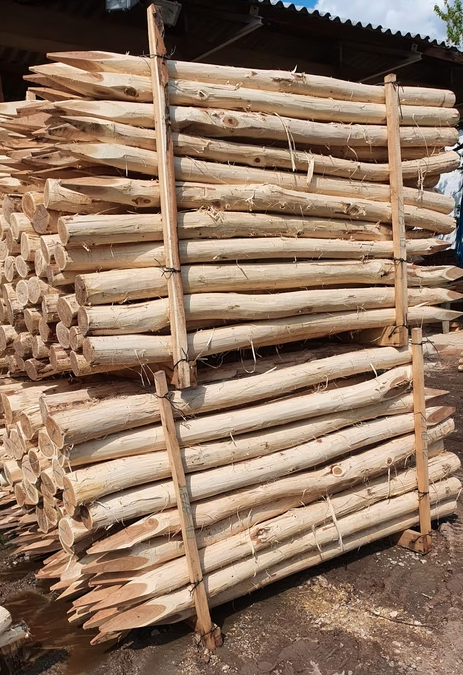 Debarked acacia round poles
