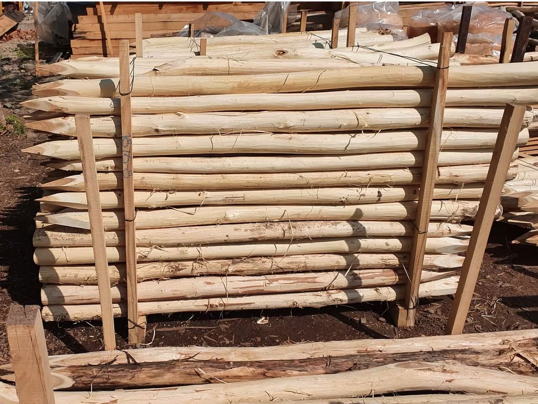 Debarked acacia round poles — view 2