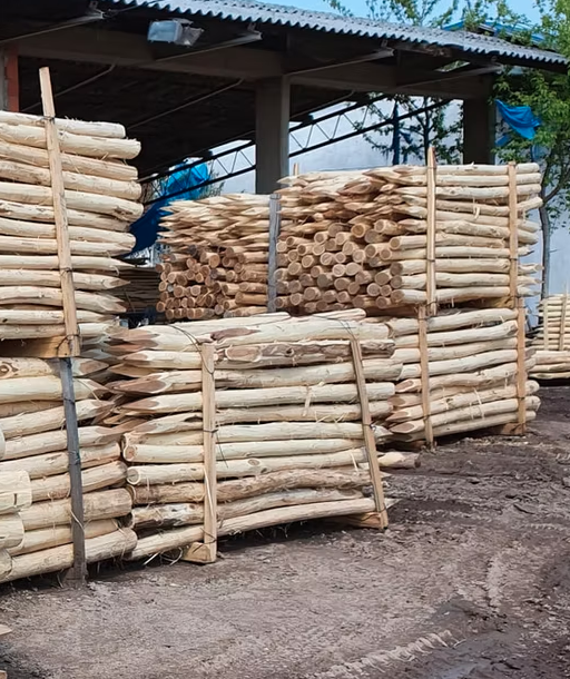 Debarked acacia round poles — view 3